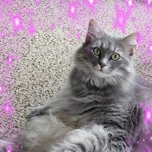 Meet your Posher, Kay